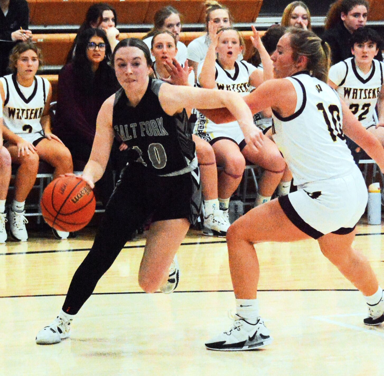 Alexa Jamison: Two-Time All-State Performer Leads Salt Fork to Victory Over Watseka