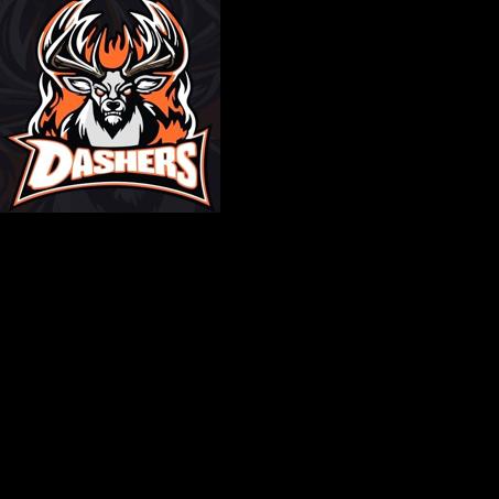 HOCKEY: Dashers break out new logo