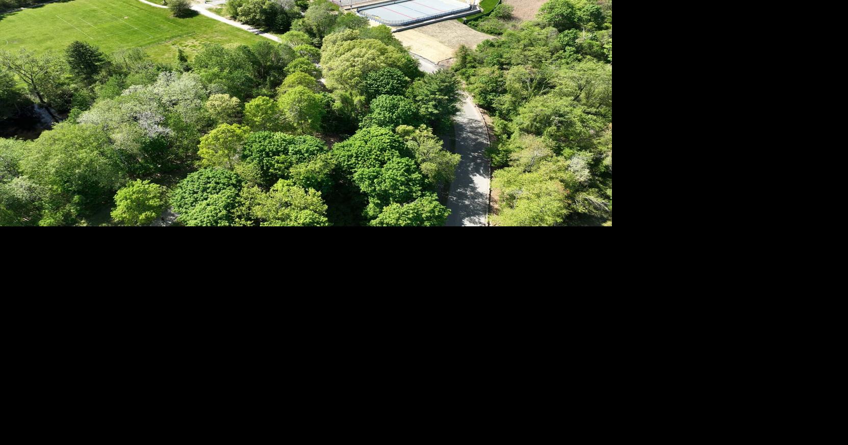 Marlborough requests $115,000 for dog park at Ghiloni | Marlborough ...
