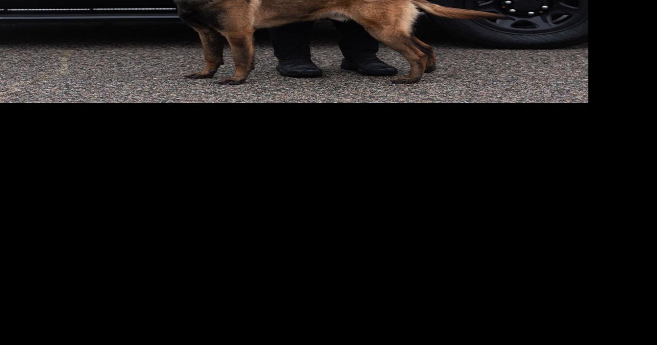 Marlborough Police Department announces new K9 officer, partner