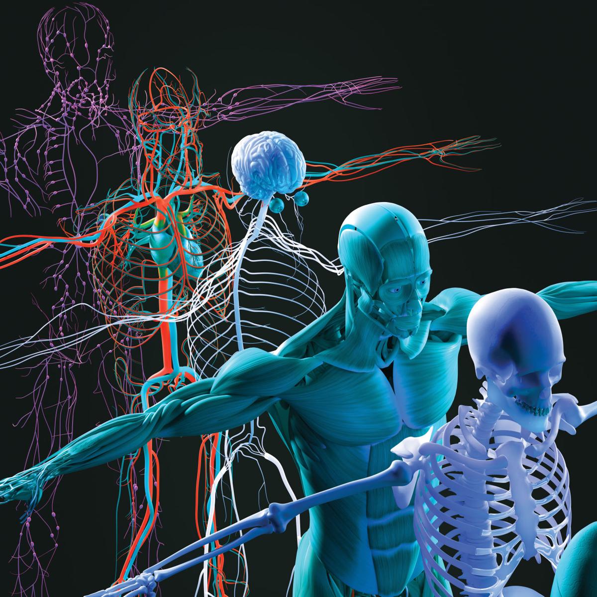 Don't let a chronic disease take over your life Physical Health