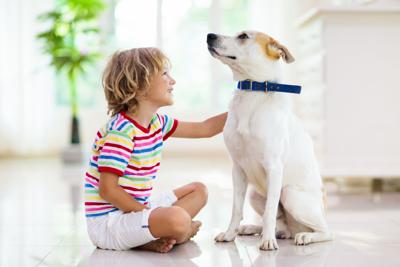 Child playing with dog