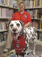 Clifton Springs therapy dog builds kids’ self-esteem and reading skills