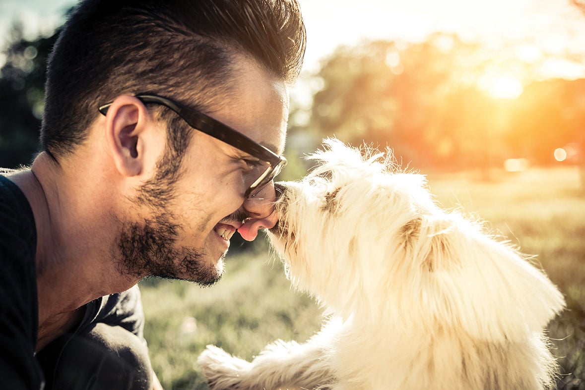 does having a dog improve your health