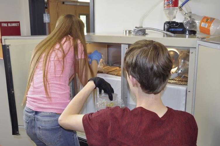 Experiment 591 SCIENCE EGGSPERIENCE: Waterloo biology students find success in failed ...