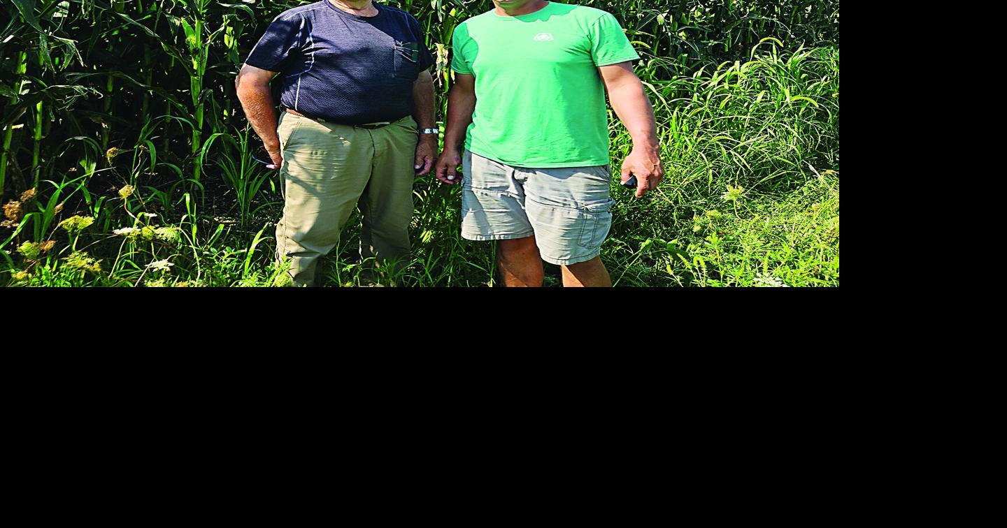 CRP-TIP helps beginning farmer get a start of his own