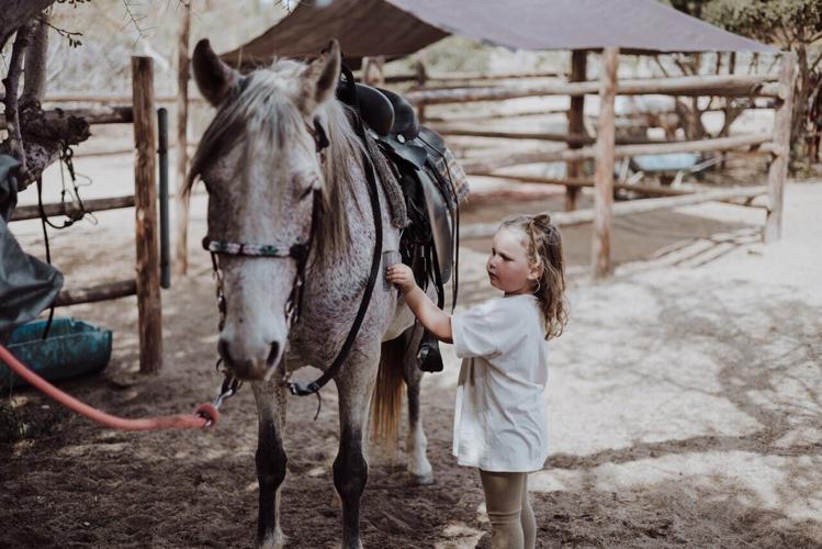 pexels-hellojoshwithers-15739710