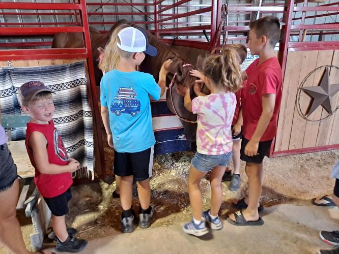 RIP Thunder, at fair