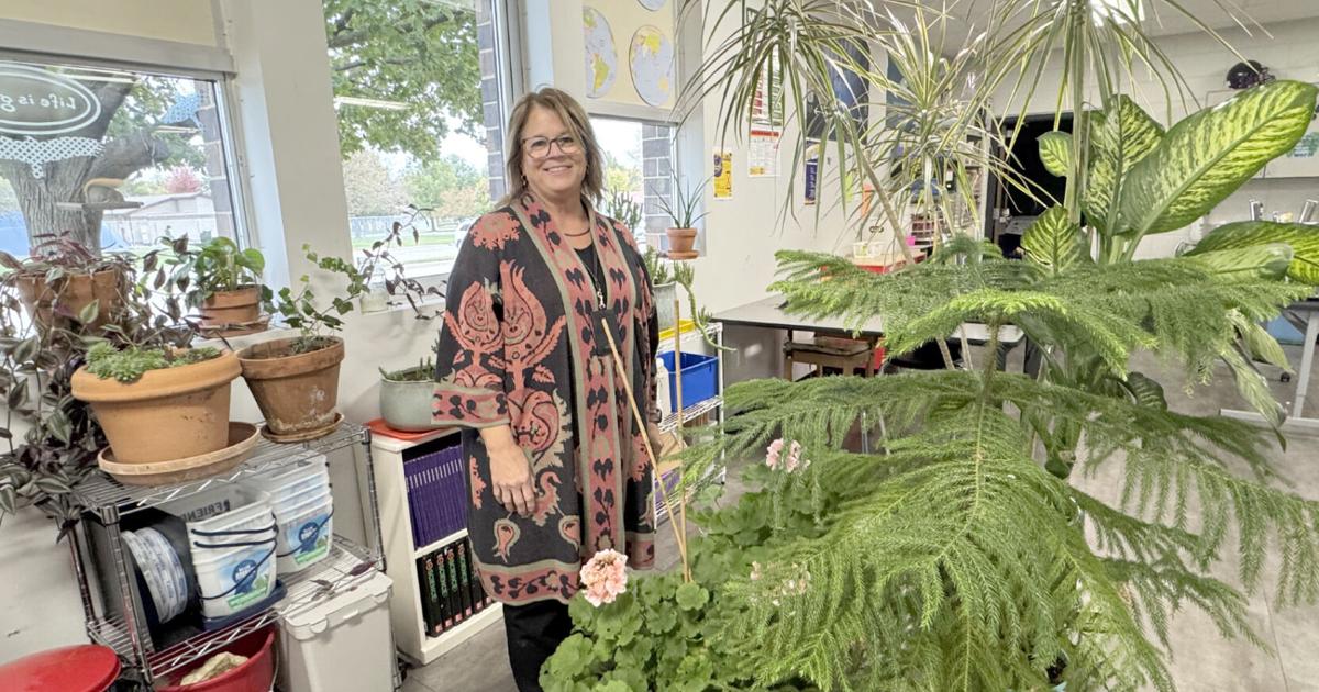 TEACHER FEATURE: Kelly returns to roots to teach roots