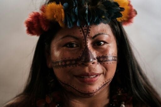 Brazilian Indigenous Leader Warns World On Amazon's Fate | Nation ...