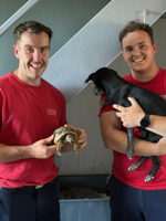 Firefighters rescue ‘naughty’ tortoise that started house fire