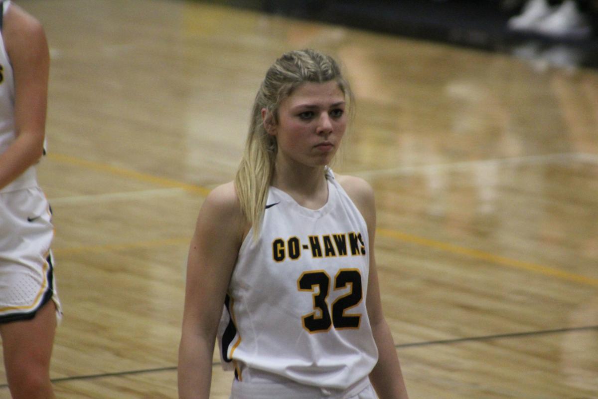 Go Hawk Girls Jump In New High School Basketball Rankings Waverly Newspapers Communitynewspapergroup Com