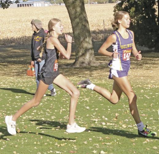 NICL XC Wapsie Valley girls crosscountry finishes in top half of