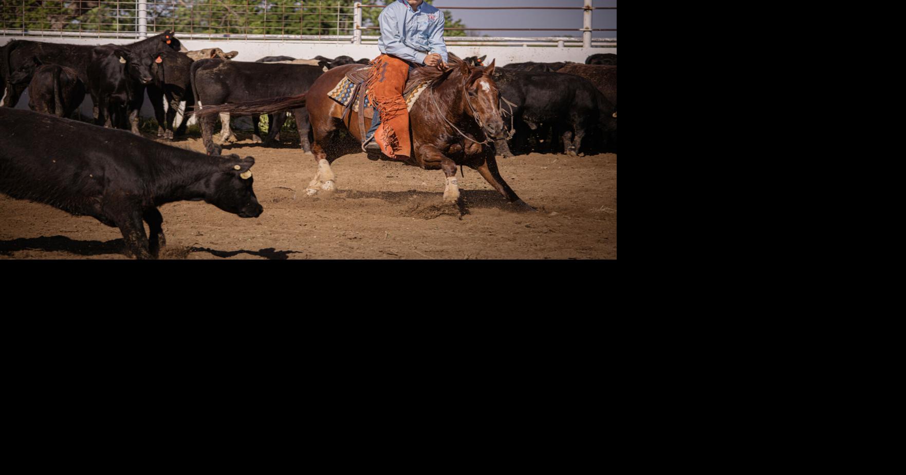 A wild ride—Dave Eberline trains 2nd generation of rodeo winners ...
