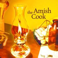 The Amish Cook: Hot and smelly adventures