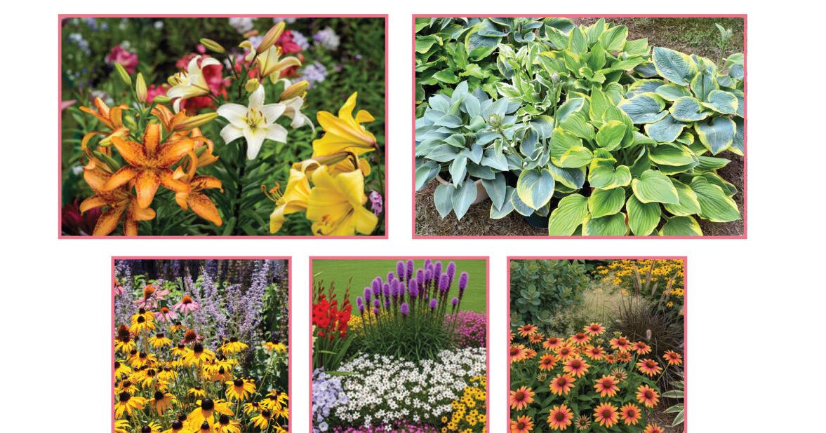 Bremer County Master Gardeners and Friends Plant and Garden Sale