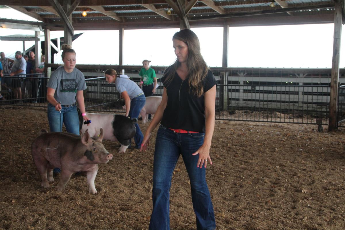 Geffert observes hogs