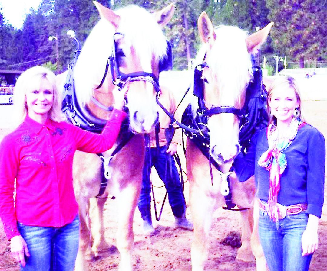 ‘Gentle Giants’ cohost comes to Waverly to feature Waverly Horse Sale