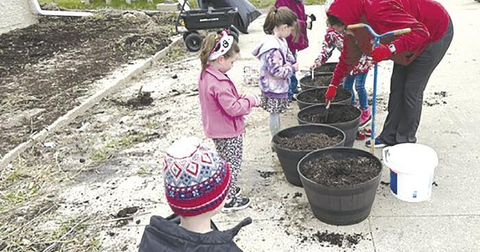 Scouts Clean Up KidsCorner - Vimarsana News