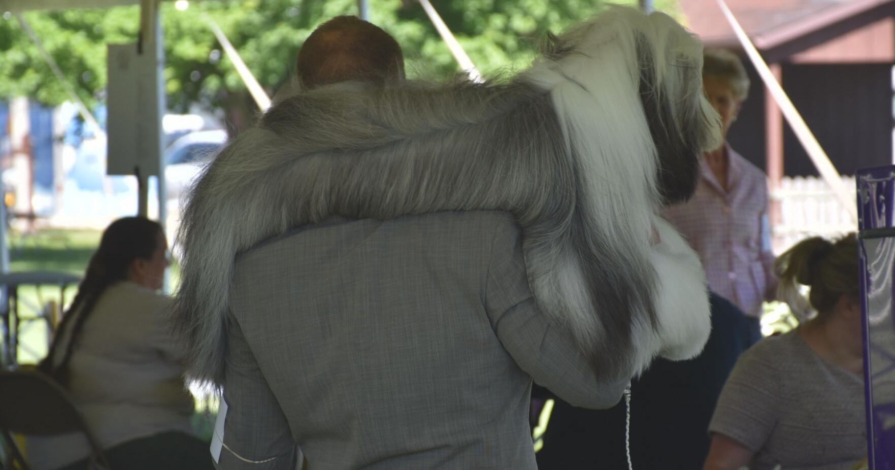 Going to the dogs: Waterloo Kennel Club hosts 2-day show at fairgrounds - Vimarsana News