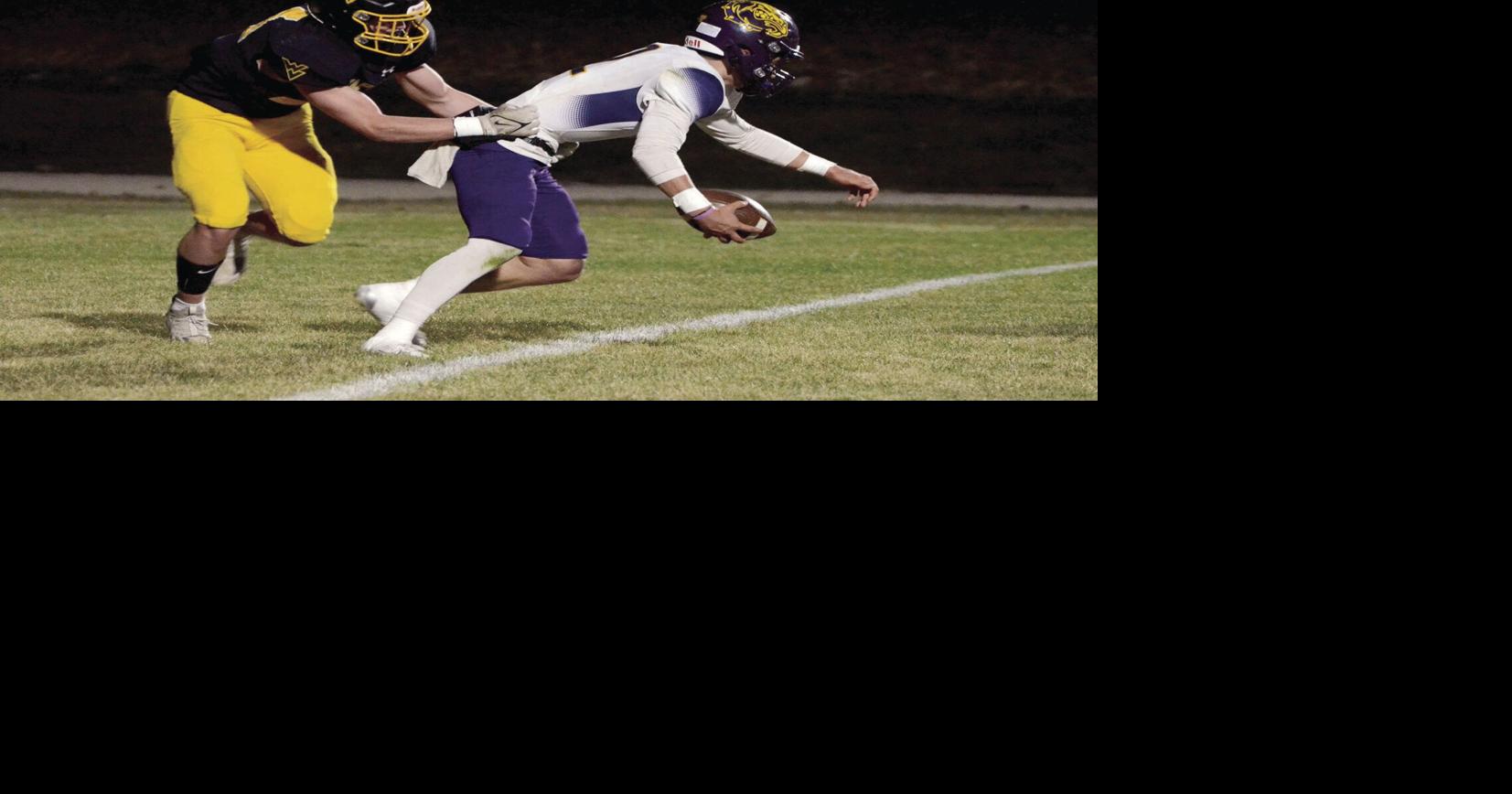 Seven area athletes selected for all-state honors | Sports ...