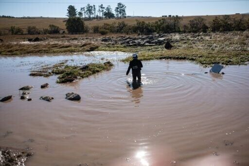 An emergency worker searches for bodies in a pond after deadly floods in South Africa's Eastern Cape province