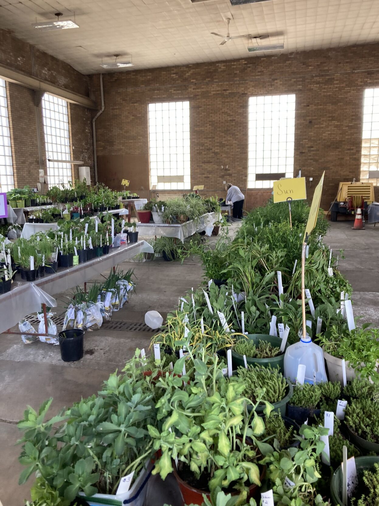 Plant Sale