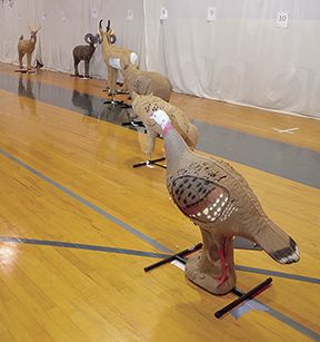 3D animal targets