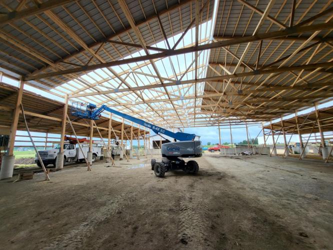 Down to the wire, livestock building roof