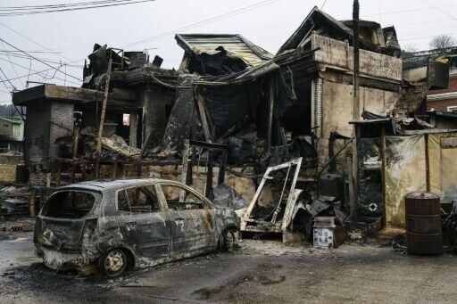 Vast swaths of South Korea's southeast were burned in a series of blazes in March, which killed 31 people and destroyed historic sites