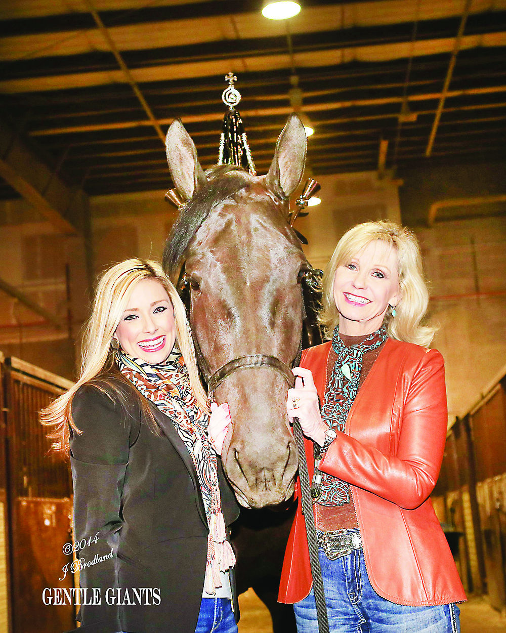 ‘Gentle Giants’ cohost comes to Waverly to feature Waverly Horse Sale