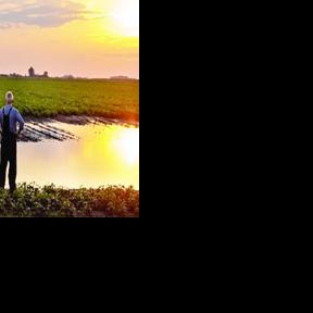ISU study examines impacts of collective trauma on Iowa farmers
