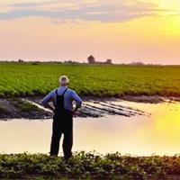 ISU study examines impacts of collective trauma on Iowa farmers