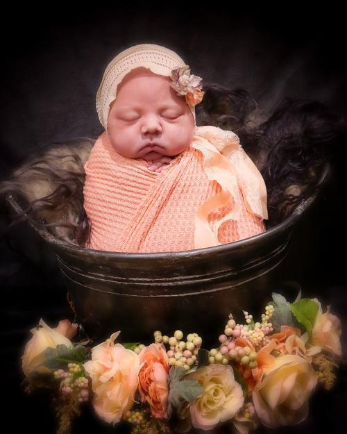 Magnolia Bauer Waverly Newspapers Communitynewspapergroup Com