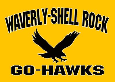 Go-Hawks logo