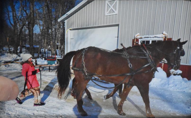 RIP Thunder, walking horses to barn