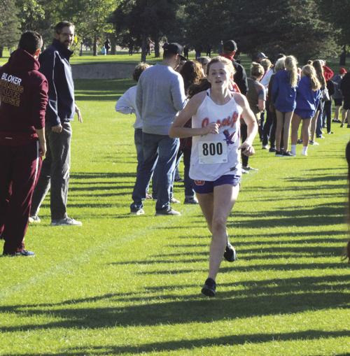 Jesup cross country to race at Ft. Dodge