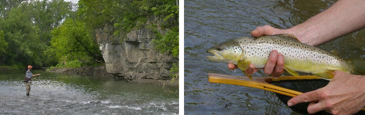 Trout stocking in northeast Iowa streams starts March 29 | Oelwein Daily Register