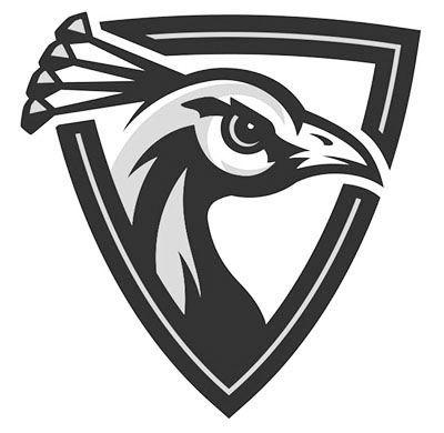 Four Peacocks Named To All Nsic Football Team Football