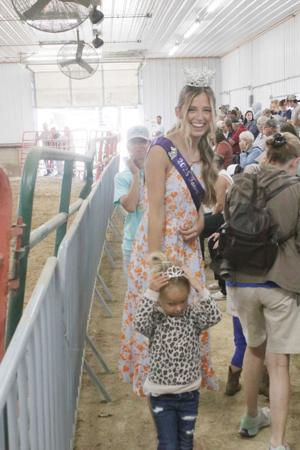 Fayette County Fair: A Celebration of Community and Tradition
