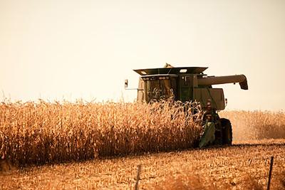 Manage Fire Risks During Harvest