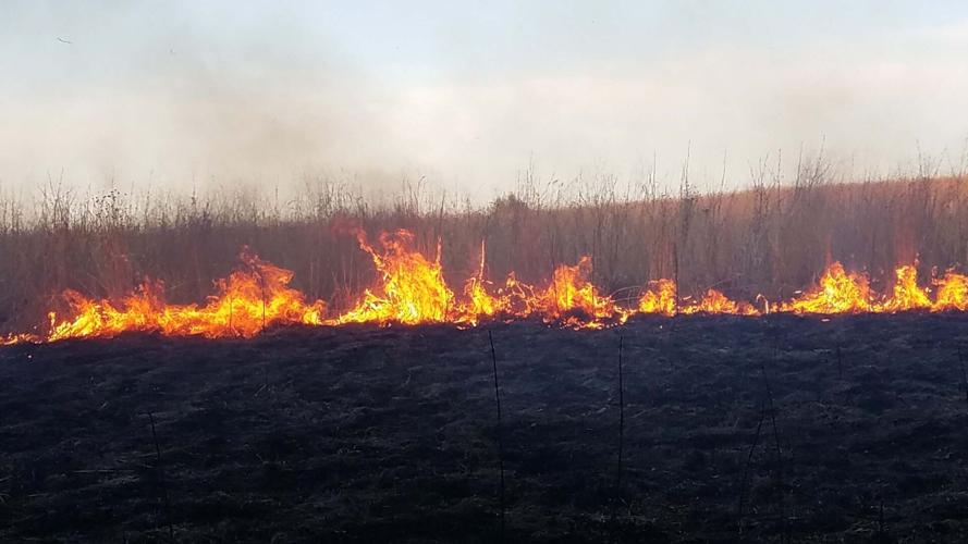 Is it too Early to do a Prescribed Burn on Prairie CRP?BACKBURN