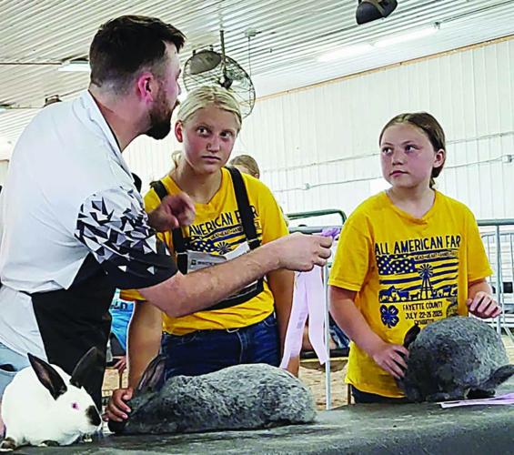 Rabbit Show Results | Fayette County Fair | communitynewspapergroup.com
