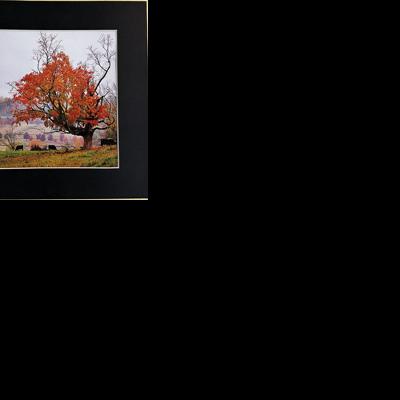 Steve Brown Art Center Featured Artist: Annika Wall