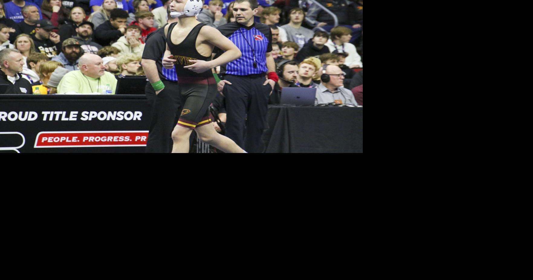 PHOTOS: State wrestling finals | Waverly Newspapers ...