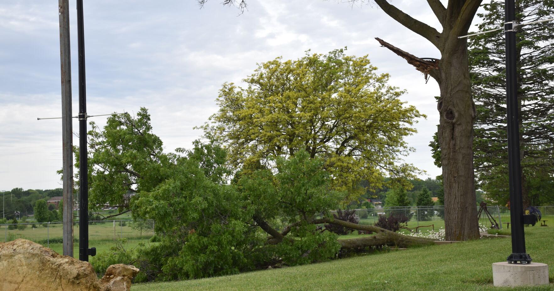 Strong storms sweep through state Tuesday: Bremer and Butler spared severe damage - Vimarsana News