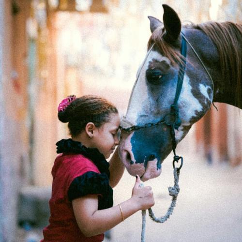 pexels-travelers_tw-1445512897-28825740