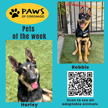 PAWS Pets-Of-The-Week, Coronado City News