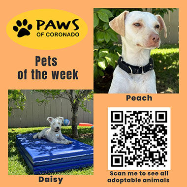 PAWS Pets-Of-The-Week, Coronado City News