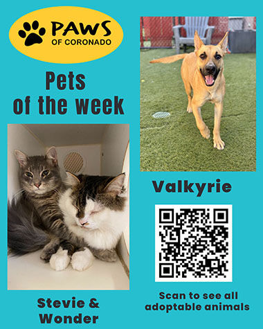 PAWS Pets-Of-The-Week, Coronado City News